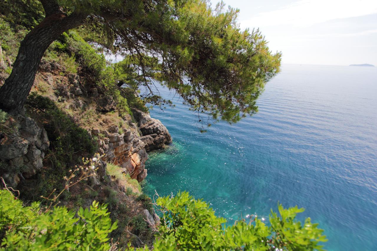 Kalamota Beach House Gornje Celo Kültér fotó